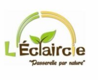 L’éclaircie